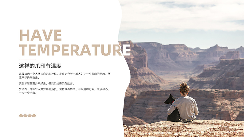 宠物用品VI设计案例
