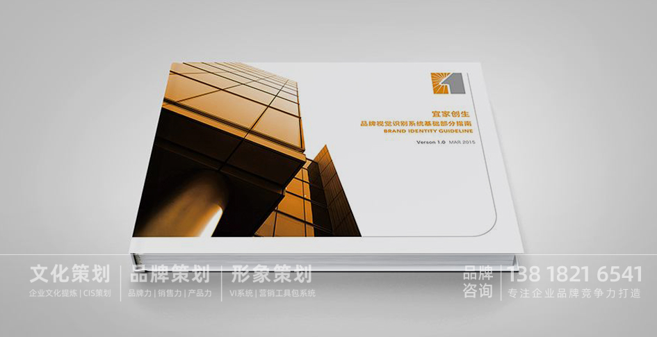 品牌设计手册，品牌VI设计，品牌管理手册