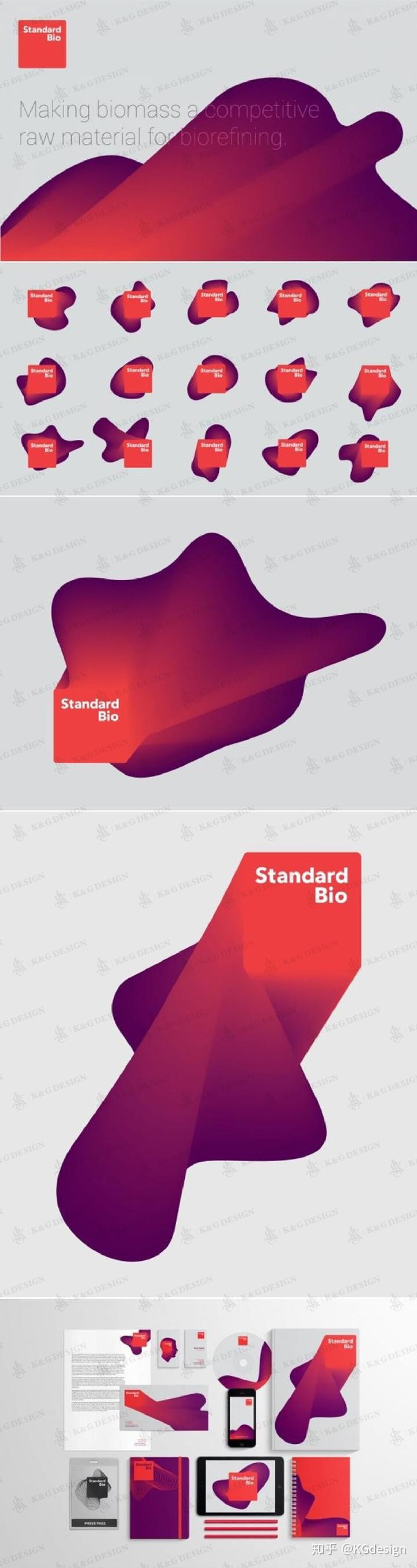 图形延展形式的VI辅助图形。