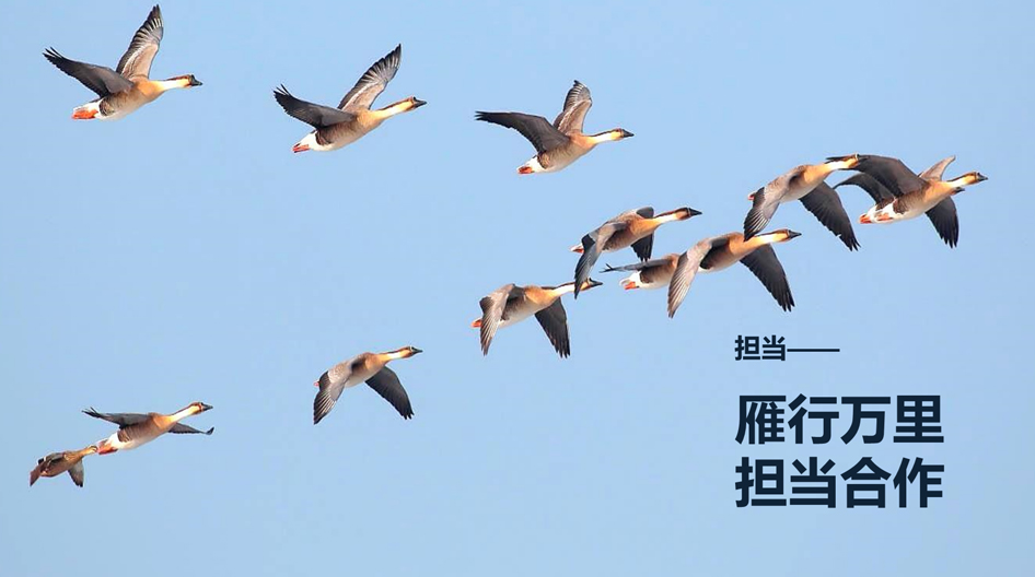 某矿业集团企业文化系统策划