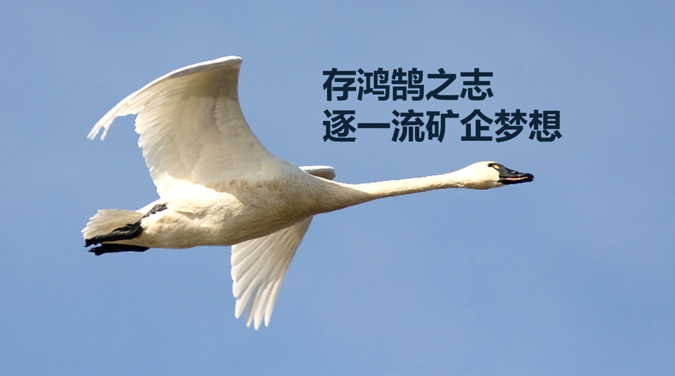 某矿业集团企业文化系统策划
