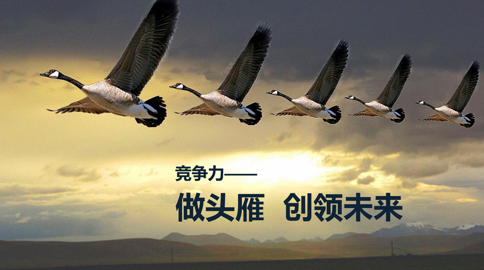 某矿业集团企业文化系统策划